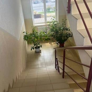 Сдается Нежилое помещение, 49,6 м²