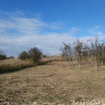 Продается Участок, 670 м²