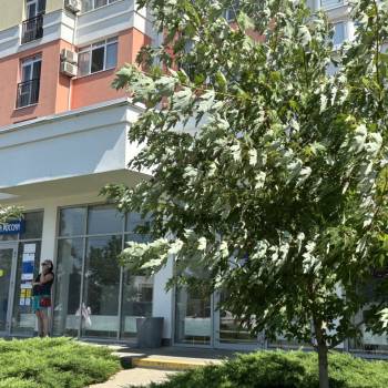 Сдается 1-комнатная квартира, 37,4 м²
