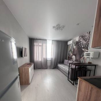 Сдается 1-комнатная квартира, 27 м²