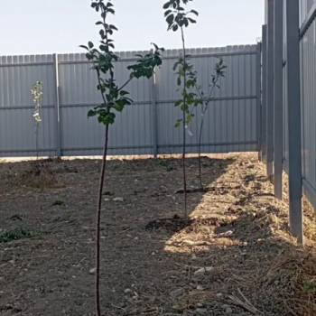 Продается Участок, 520 м²