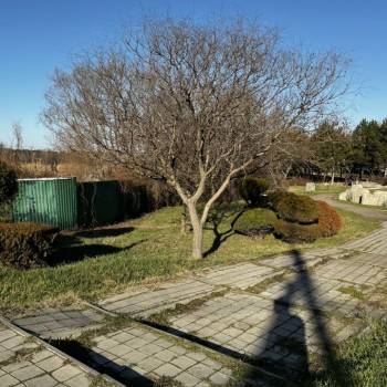 Продается Участок, 2680 м²