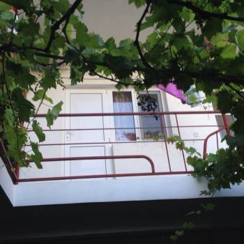 Сдается Комната, 20 м²