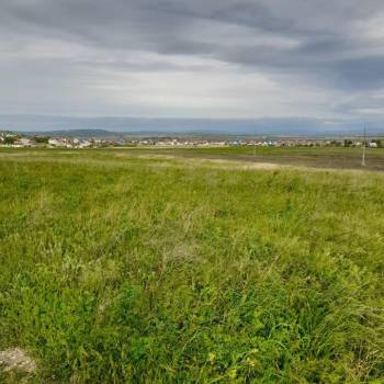 Продается Участок, 31660 м²