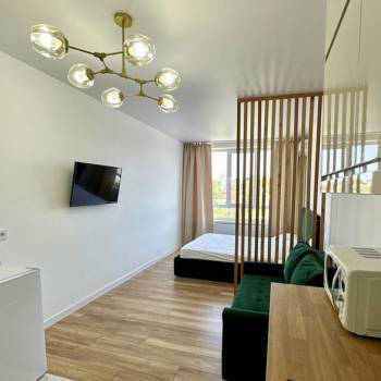 Продается 1-комнатная квартира, 26,1 м²
