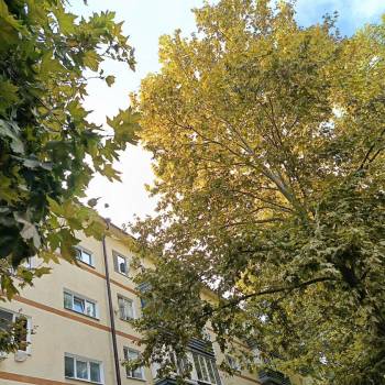 Продается 1-комнатная квартира, 29,1 м²