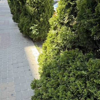 Продается 1-комнатная квартира, 51,9 м²