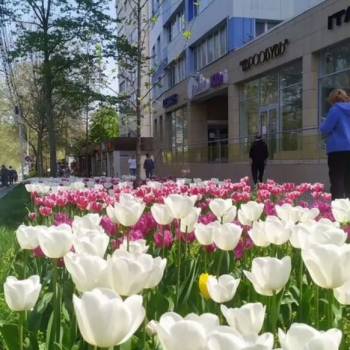 Продается 2-х комнатная квартира, 64 м²
