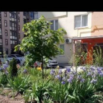 Продается 3-х комнатная квартира, 83 м²