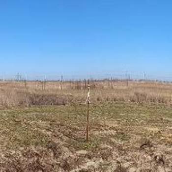 Продается Участок, 460 м²