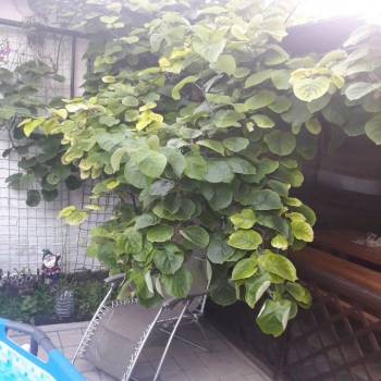 Сдается Комната, 20 м²