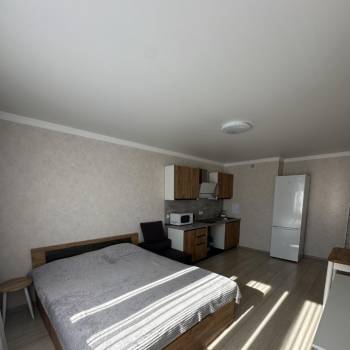 Сдается 1-комнатная квартира, 25,11 м²