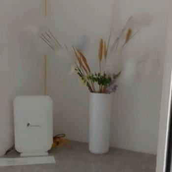 Сдается 1-комнатная квартира, 18,3 м²