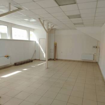Сдается Нежилое помещение, 57 м²