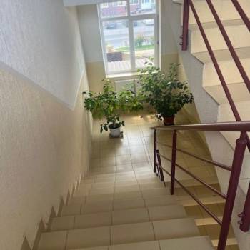 Сдается Нежилое помещение, 49,6 м²