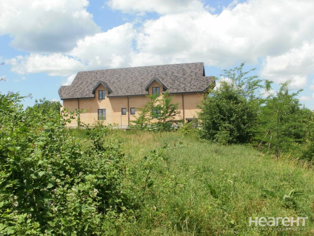 Фотография №2