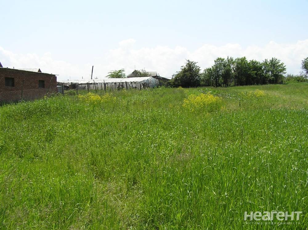 Фотография №3