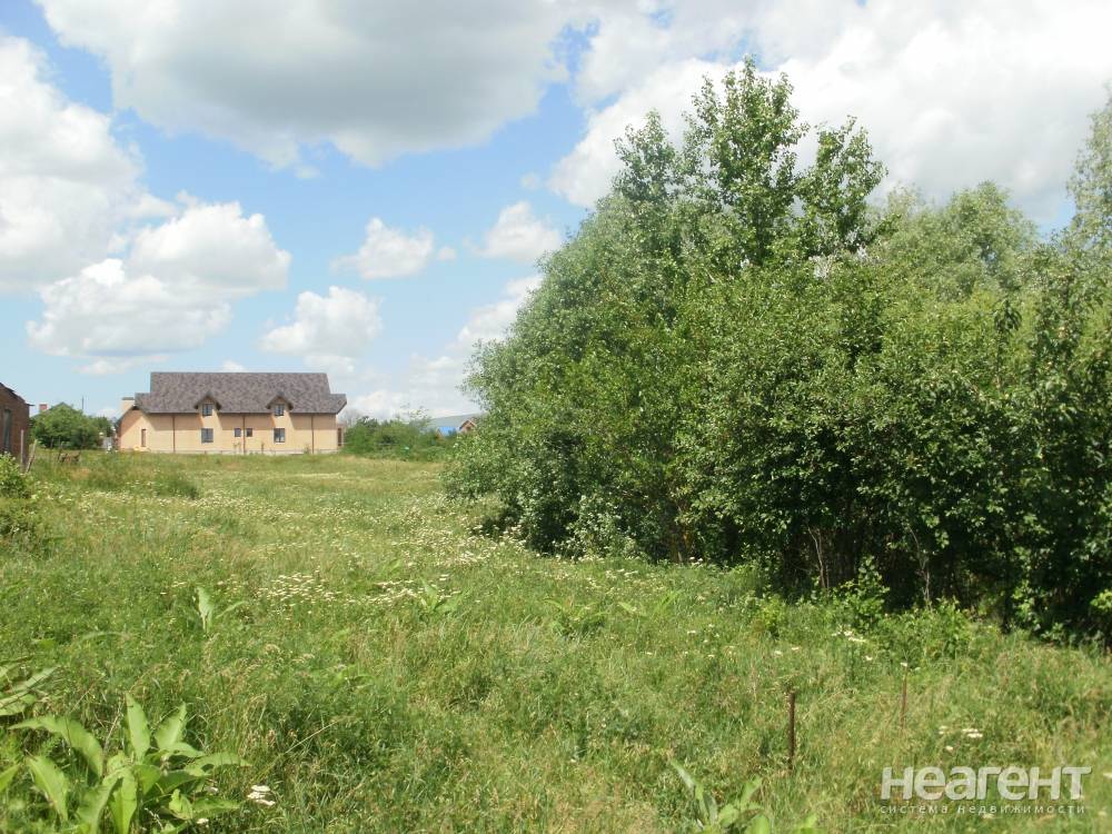 Фотография №4