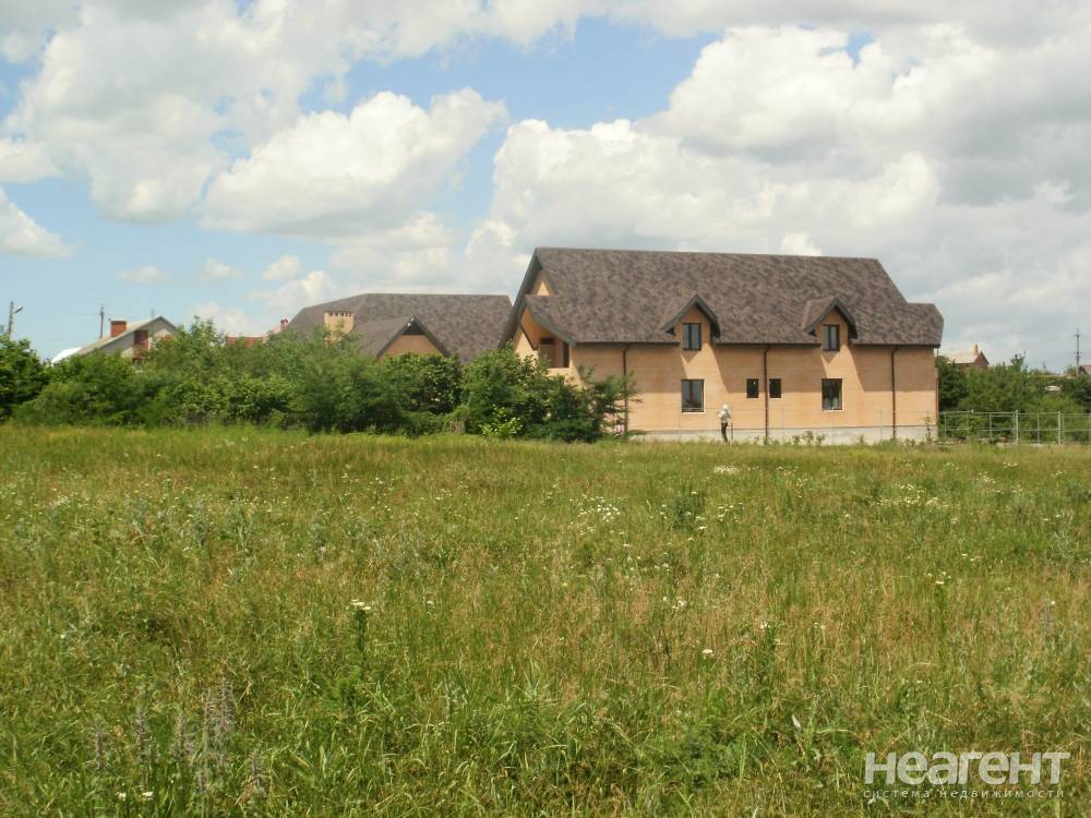 Фотография №6