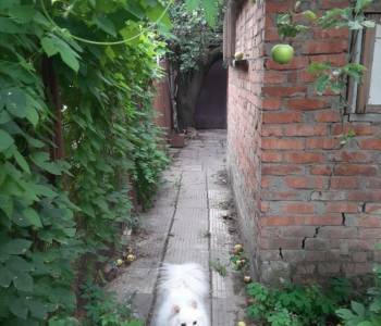 Продается Дом, 30 м²