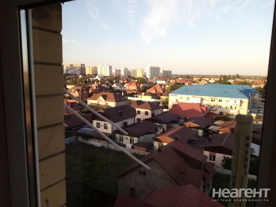 Фотография №2