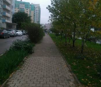 Сдается 2-х комнатная квартира, 66 м²