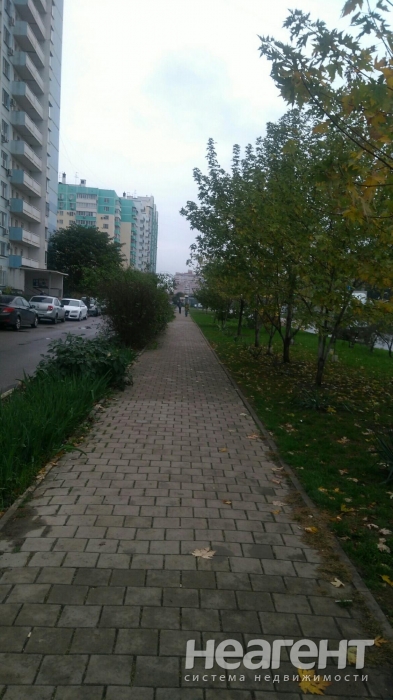 Фотография №7