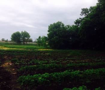 Продается Дом, 56,6 м²