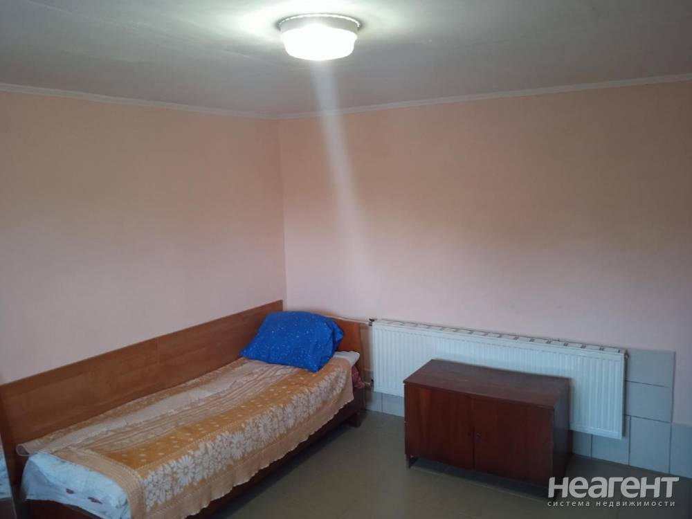 Фотография №3