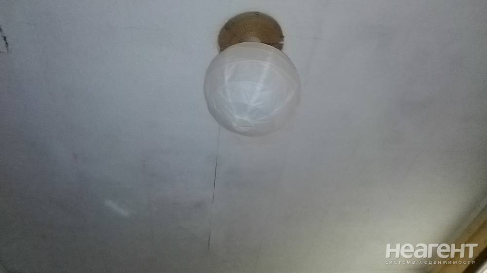 Фотография №3