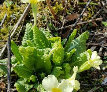 Продается Дом, 438 м²