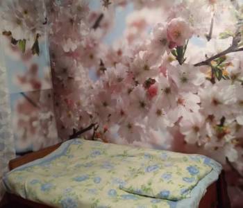 Сдается Комната, 14 м²