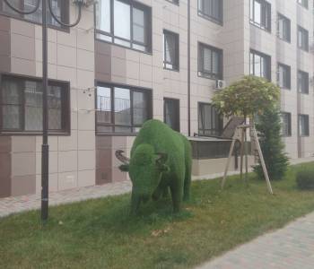 Сдается 1-комнатная квартира, 34 м²