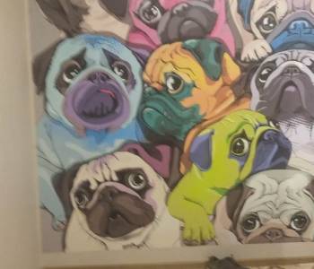 Сдается 2-х комнатная квартира, 60 м²