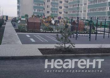 Фотография №3