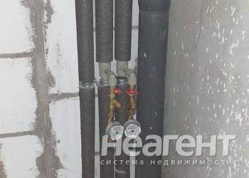 Фотография №8