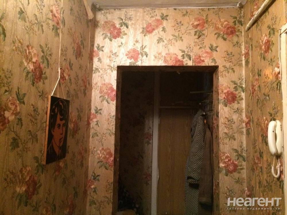 Фотография №8