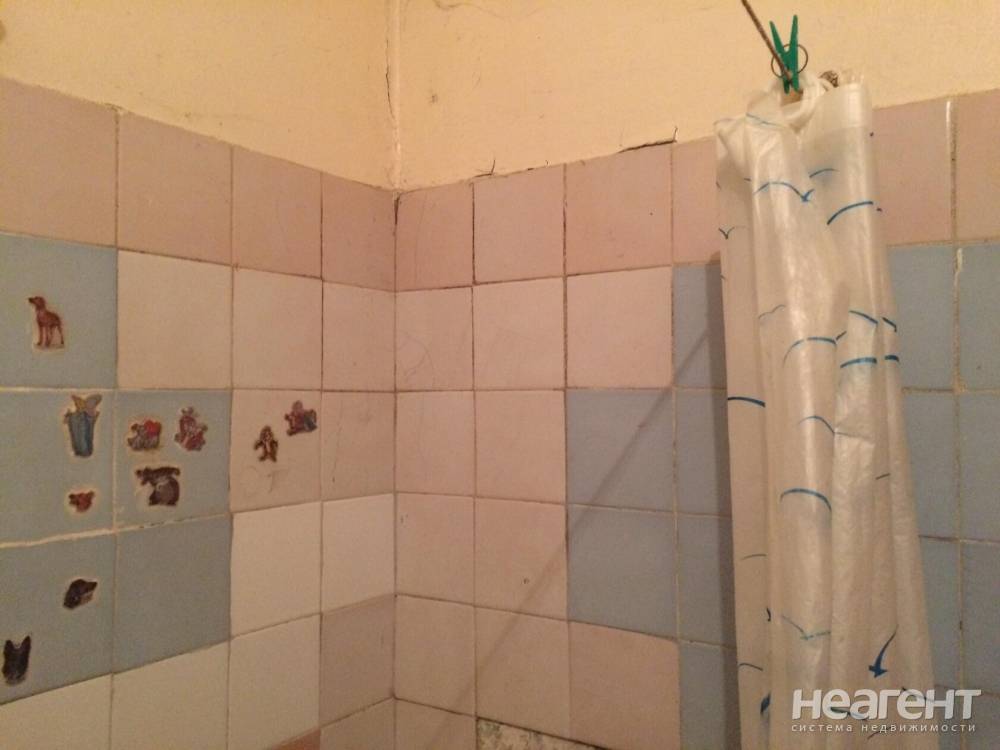 Фотография №18