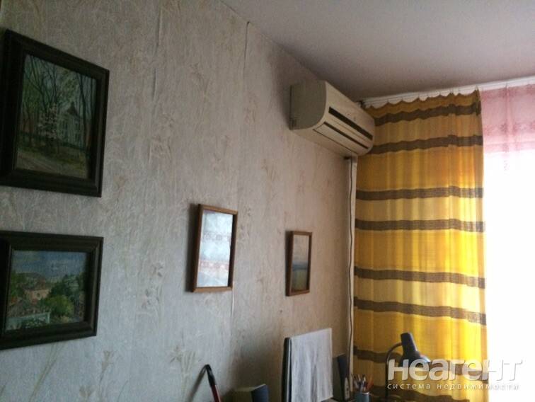 Фотография №15