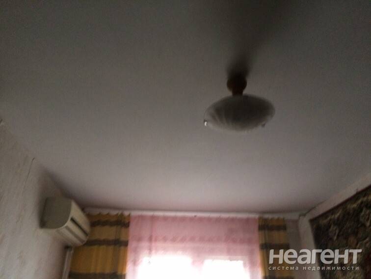 Фотография №17