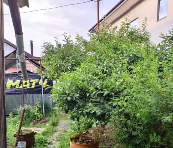 Продается Многокомнатная квартира, 50,4 м²