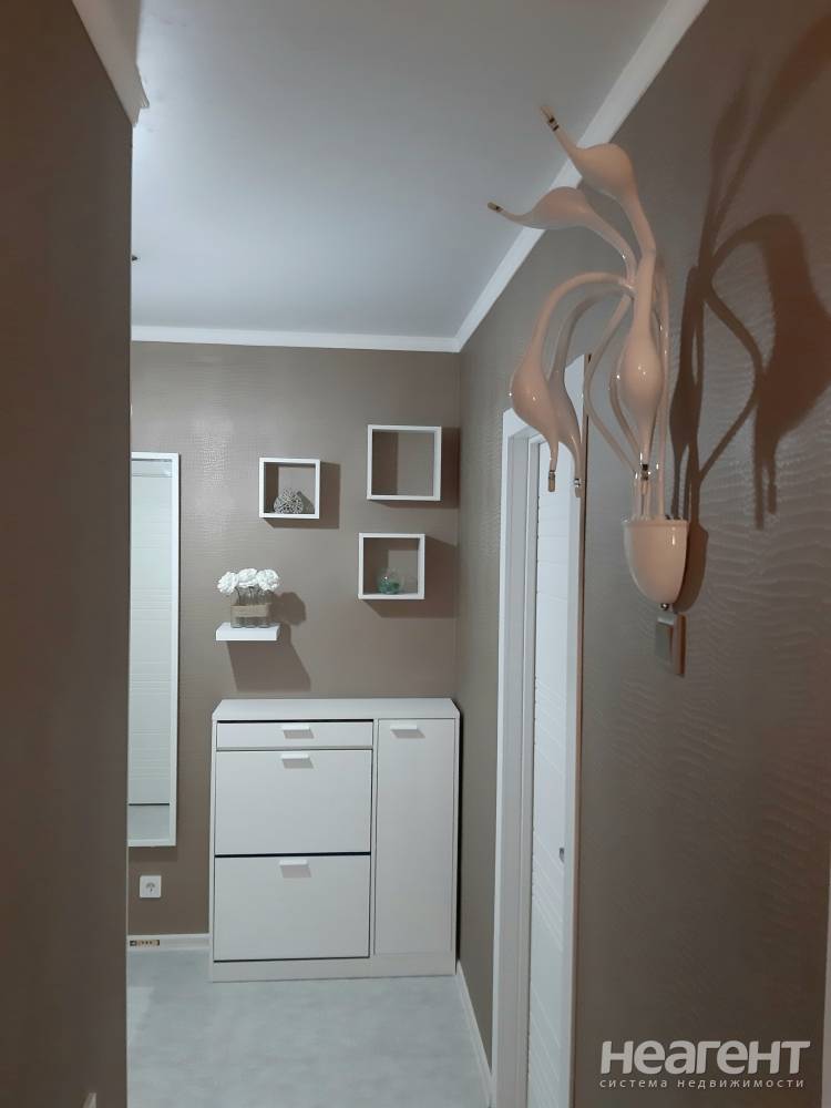 Фотография №8