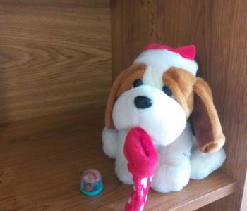 Сдается 2-х комнатная квартира, 48 м²