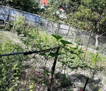 Продается 3-х комнатная квартира, 65,4 м²