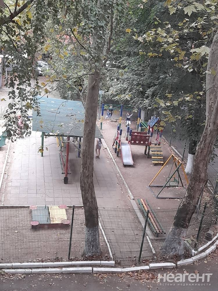 Фотография №3