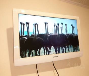 Сдается 2-х комнатная квартира, 46 м²