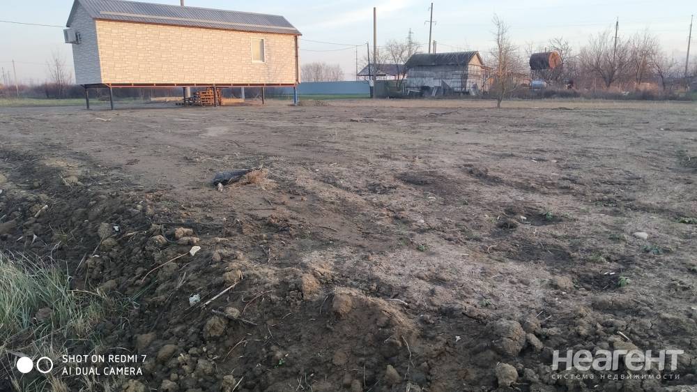 Фотография №4