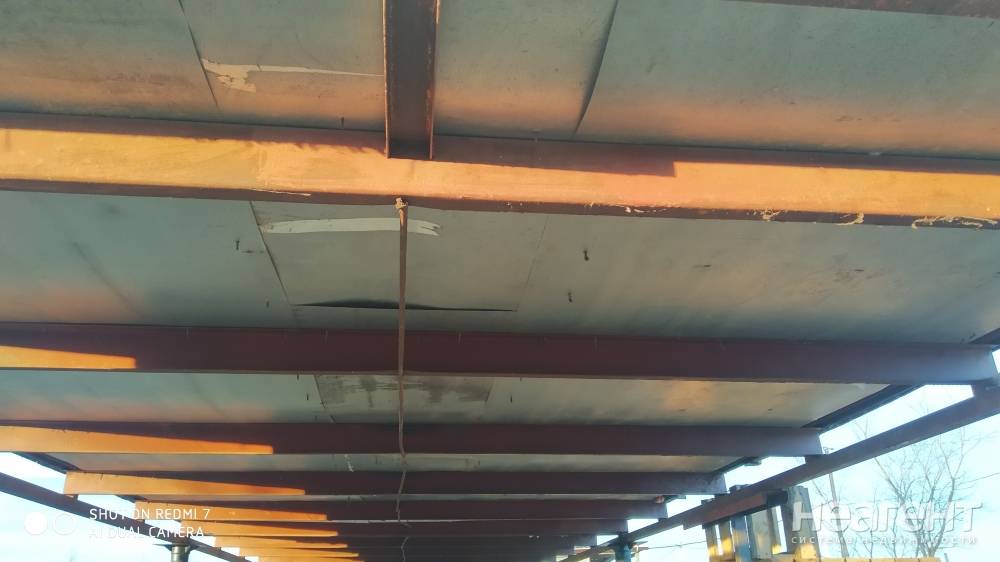 Фотография №5