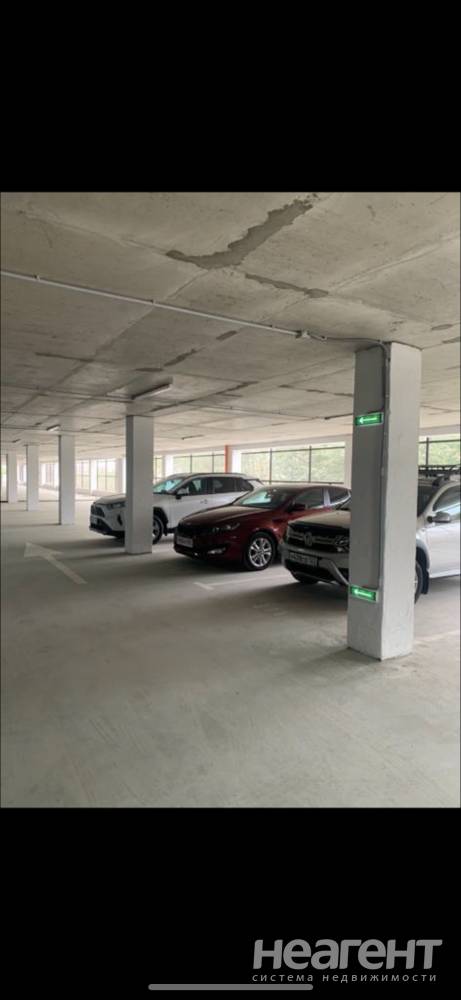 Фотография №2