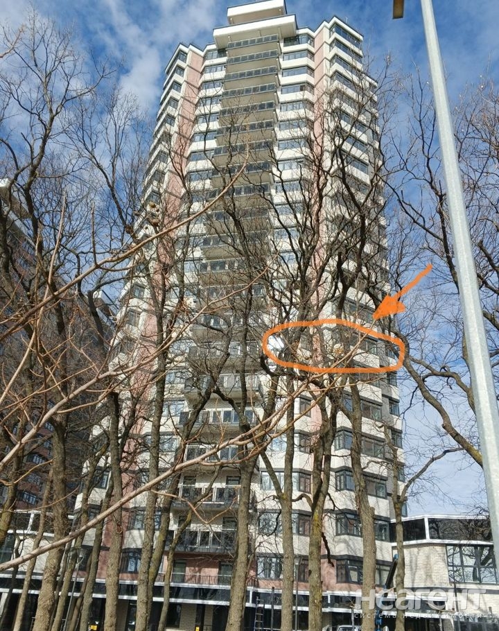 Фотография №2